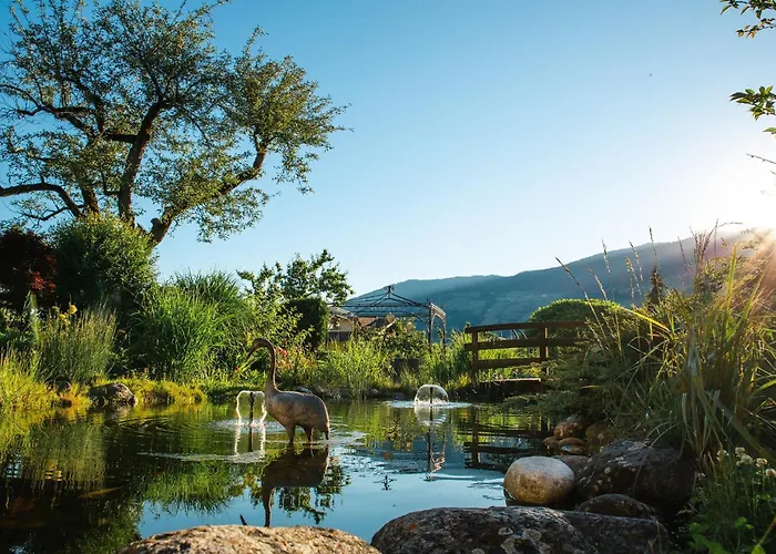 Kohlerhof - 4 Star Wellness & Active מלון 4*